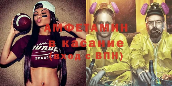 индика Дмитриев