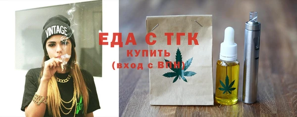 индика Дмитриев