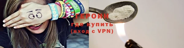 индика Дмитриев
