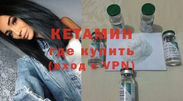 индика Дмитриев