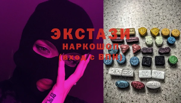 индика Дмитриев