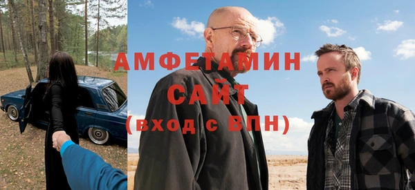 индика Дмитриев