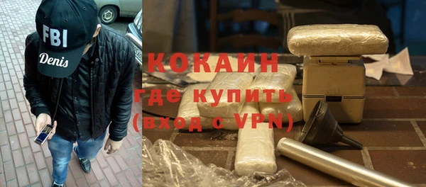 индика Дмитриев
