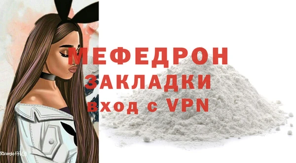 индика Дмитриев