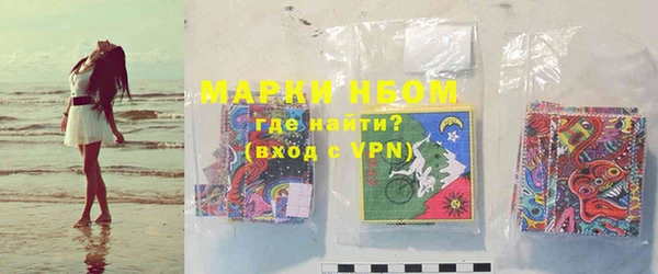 индика Дмитриев