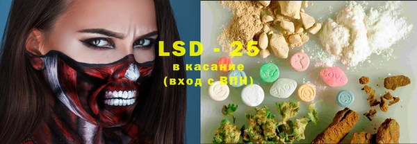 индика Дмитриев