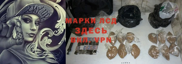 индика Дмитриев