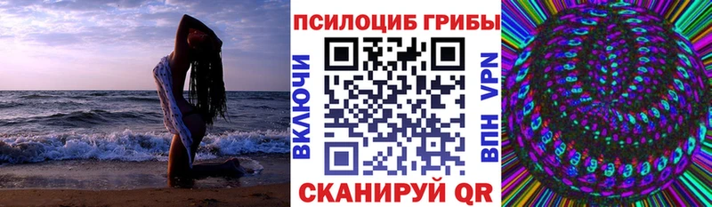 Купить закладки  Кандалакша  Псилоцибиновые грибы GOLDEN TEACHER 
